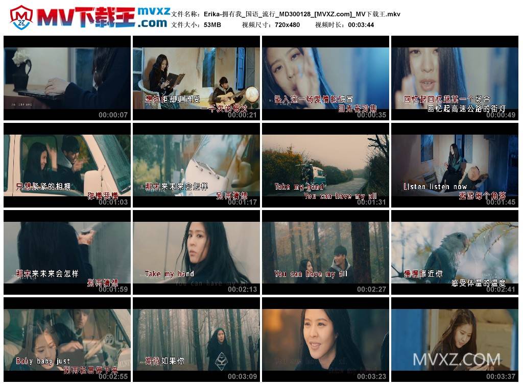 Erika-拥有我_国语_流行_MD300128